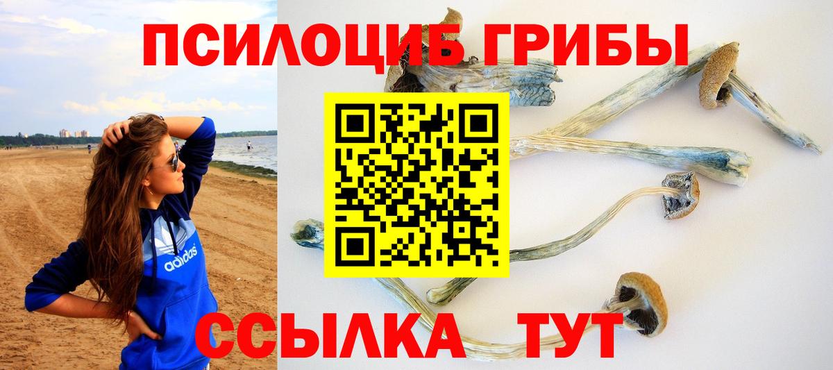 Добрянка  Галлюциногенные грибы MAGIC MUSHROOMS  Псилоцибиновые грибы Psilocybe  Вход с VPN 